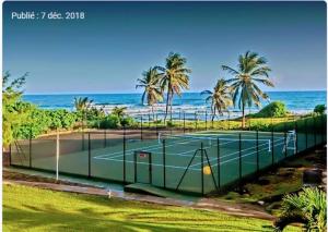 una pista de tenis junto al océano con palmeras en Appartement Varangue, Anse des rochers, en Saint-François