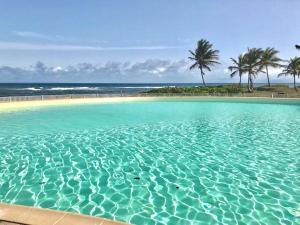 Una gran piscina con palmeras y el océano. en Appartement Varangue, Anse des rochers, en Saint-François