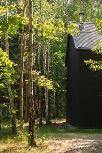 a black shed in the middle of a forest at Tu, Tam i Tamten Domek in Wojtyniów