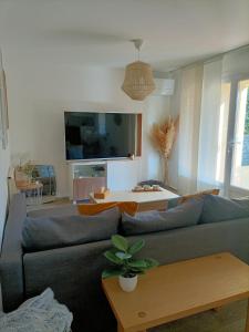 Televízia a/alebo spoločenská miestnosť v ubytovaní Appartement proche mer avec terrasse et jardin privatif