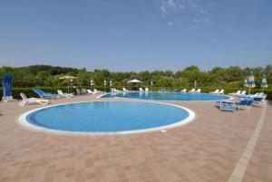 een groot zwembad met stoelen en parasols bij Il Girasole - Corbezzolo in Venturina Terme