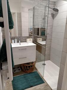 Kúpeľňa v ubytovaní Appartement proche mer avec terrasse et jardin privatif