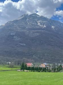 een berg met een huis voor een veld bij Guest House Vuthaj in Vusanje