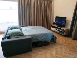 a bedroom with a bed and a flat screen tv at Studio Léopold,proche Europa Park et rulantica in Diebolsheim