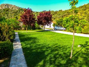 a garden with trees and a driveway at Garden House No 2 in Plomari