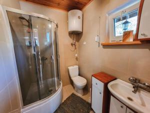 a bathroom with a shower and a toilet and a sink at Dom przy Plaży Wieliszew, duży ogród i grill in Wieliszew