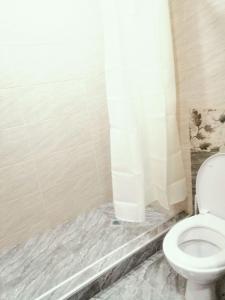 a bathroom with a toilet and a shower at Marjanishvili Apartment in Tbilisi City