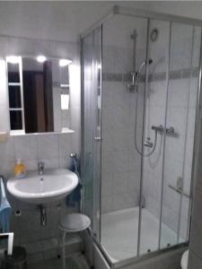La salle de bains est pourvue d'une douche et d'un lavabo. dans l'établissement Hahnenklee Waldblick Cari, à Hahnenklee