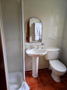 a bathroom with a sink and a toilet and a mirror at Ivy House in Galway