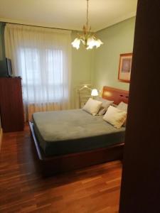 een slaapkamer met een bed en een raam bij Amplio y soleado Alquilo apartamento entero de 3 hab 5 pax in Zarautz