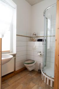 uma casa de banho com um WC, um lavatório e um chuveiro em Ferienwohnung am Kurpark Ostrau em Bad Schandau