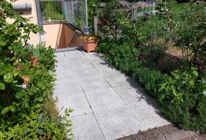 a concrete walkway in a garden with plants at Ferienwohnung Freitag in Vendersheim