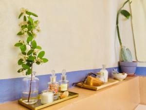 un estante con botellas de jabón y una planta. en Effimera - Relaxing Retreat, en Citta' Sant'Angelo
