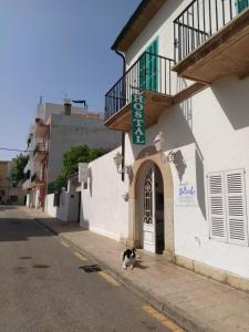 Gallery image of Pensión Bellavista in Port de Pollensa