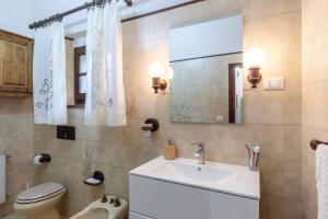 a bathroom with a sink and a toilet and a mirror at Casa vacanze La Capannina in Pieve Fosciana +14 photos