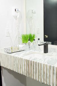 La salle de bains est pourvue d'un lavabo blanc et d'un miroir. dans l'établissement Hotel Posada San Antonio, à Reynosa