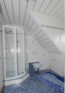 y baño con ducha y aseo. en Ursprunghof, en Zeutschach