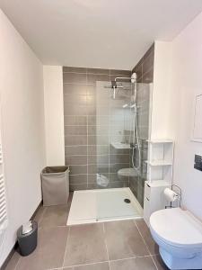 a bathroom with a shower and a toilet at Amsterdam - Bel appartement in Bezannes-les-Reims