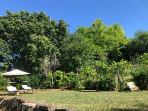 O grădină în afara Effimera - Relaxing Retreat
