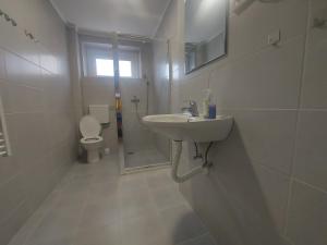 ein Bad mit einem Waschbecken und einem WC in der Unterkunft Gerardus Apartmani 2 in Vršac