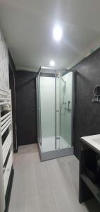 uma casa de banho com um chuveiro e uma porta de vidro em L'osmose em Coulogne