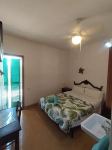 Gallery image of Pensión Bellavista in Port de Pollensa