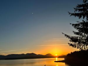 una puesta de sol en el agua con un árbol en primer plano en Sun Rise delight!, en Bella Bella