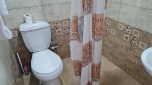 a bathroom with a toilet and a shower curtain at Mirage guesthouse in Khot