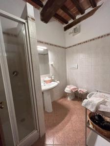 a bathroom with a shower and a sink and a toilet at Camere Gozzante in Pienza