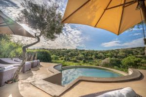 an overhead view of a swimming pool with an umbrella at Safari Lodge - Amakhala Game Reserve in Amakhala Game Reserve