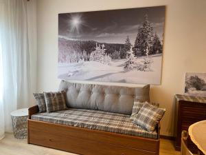 um sofá numa sala de estar com uma fotografia na parede em Casa Monte Zebio em Asiago