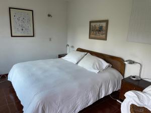 a bedroom with a white bed and a lamp at Casa Los Ciervos in Pirque