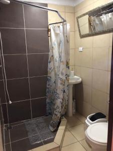 a bathroom with a shower curtain and a toilet at Rivera Family Apartments in Santiago Este