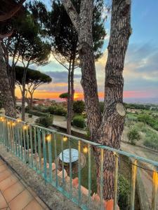 een uitzicht vanaf het balkon van een huis met een boom bij Appartamento castelli Romani - con vista su ROMA in Monte Porzio Catone