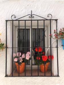 a window with pots of flowers in it at Arya's Nest in Mijas