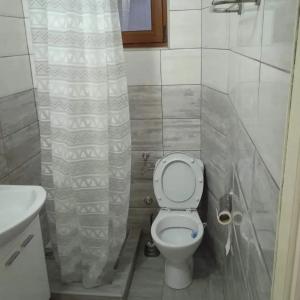 een kleine badkamer met een toilet en een wastafel bij Apartman NIKOLIJA 2 in Kaludjerske Bare