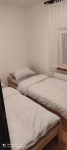 two twin beds in a room with a window at Apartman MWA in Slavonski Brod