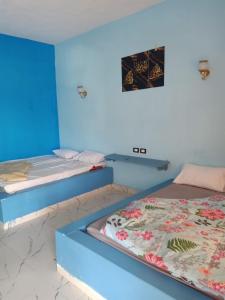 a room with two beds and a blue wall at Palm Valley camp in Nuweiba‘ el Muzeinah
