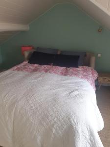 una camera da letto con un letto e un piumone bianco di Flut'Alors - Maison charmante au centre-ville de Reims a Reims