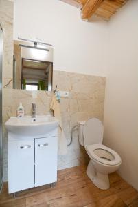 a bathroom with a toilet and a sink and a mirror at Penzion Květná Zahrada in Květná