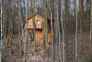 a tree house in the middle of the woods at Treehouse Velké Losiny in Velké Losiny