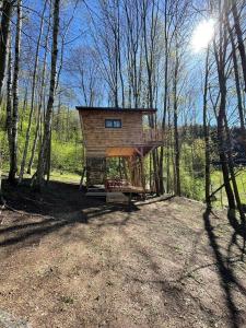 ein Baumhaus mitten im Wald in der Unterkunft Treehouse Velké Losiny in Velké Losiny