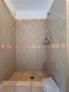 a shower in a tiled bathroom with a shower head at The Old barrel houses in Kythira