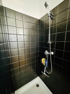 La salle de bains est pourvue d'une douche et de toilettes. dans l'établissement Appartement Badja, à Tsingoni