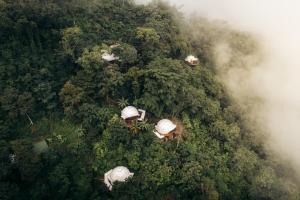 an overhead view of a forest with tents in the trees at Trekker Glamping in Minca