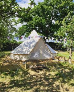 a white tent in a field under a tree at Bowhayes Farm - Camping and Glamping in Venn Ottery