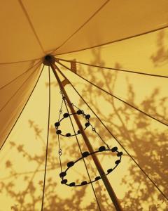 Venn OtteryBowhayes Farm - Camping & Glamping - Bell Tents - Cider Orchard的相册照片