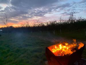 Venn OtteryBowhayes Farm - Camping & Glamping - Bell Tents - Cider Orchard的相册照片