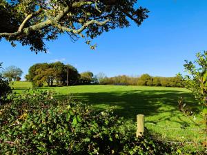 Bowhayes Farm - Camping & Glamping - Bell Tents - Cider Orchard外面的花园