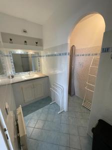 ein Bad mit einem Waschbecken, einer Dusche und einem Spiegel in der Unterkunft T2 clim 54m2, 17m2 de terrasse très belle vue mer in LʼÎle-Rousse